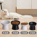 Ceramic Raised Cat Bowls, Elevated Tilted Cat Food and Water Bowls Set, Porcelain Stress Free Pet Feeder Dish for Cats and Small Dogs, Dishwasher and Microwave Safe, Set of 2 (White)