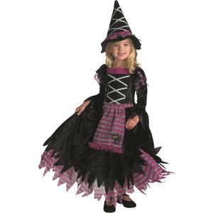 Disguise Fairytale Witch Costume (Small(2T))