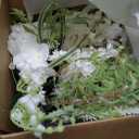 Ling's moment White Green Bridal Bouquet for Bride, White Green Wedding Bouquets for Bride, 13 Inch Bride Bouquets for Wedding Artificial Flowers Bouquets