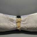 CareCooo Orthopedic Dog Bed for XXL Dogs Washable Memory Foam Pet Sofa, Fluffy Plush Rectangular Bed, Waterproof Anti-Anxiety Couch, Light Brown, XXL