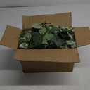 6 Pack Artificial Eucalyptus Leaf Garland, 5.9ft Faux Greenery Garland Fake Eucalyptus Wreath Vines for Centerpiece Table Wedding Backdrop Arch Wall Decor