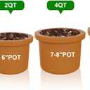 10 x Doter Organic Perlite for Plants, Soil Amendment for Enhanced Drainage and Growth, Ideal for Potting Mixes (1 Quart)