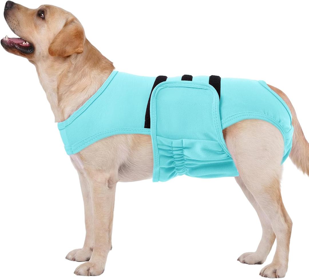 Lelepet Reusable Dog Diapers Female, Dog Period Panties, Washable Belly Band Dog with Suspenders, Dog in Heat Products, Soft Adjustable Doggie Onsie with Hole Tail, Blue, M