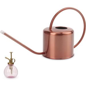 Remiawy Watering Can Indoor Outdoor Stainless Steel Watering Cans for House Plants Long Spout Water Can for Succulent Bonsai Garden Flower(40oz/1300ml)