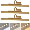 Picture Light Battery Rechargeable, 3Pack Picture Light for Wall with Remote, 3 Color Modes and Dimmable Classic Art Lights for Paintings, Pictures in Gallery, Bedroom, with Timer_Antique Gold