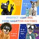 NVTED Dog Goggles Big Area Dog Sunglasses, Large Breed Windproof Snowproof Eye Protection Pet Glasses for Outdoor Driving Cycling (Large)