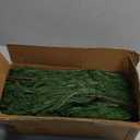 Rowfad 24 Pcs Artificial Norfolk Pine Branches, Faux Norfolk Pine Stems DIY Crafts Faux Christmas Norfolk Pine Branches for Xmas Indoor Outdoor Home Decor (24)