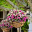 2 Pack 16 Inch Round Replacement Coco Liners for Hanging Basket Natural Coconut Fiber Liner for Flower Planter Coco Coir Pots for Outdoor Garden Plants