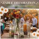 Wehomai 72pcs Glass Cylinder Vases for Centerpieces 4,6,8,10 Inch Clear Flower Vases for Wedding Decorations and Indoor Home Decor, Hurricane Candle Holder for Table Shelf, Party, 72Pack(4+6+8+8+8+10inch)