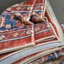 RELEANY Washable Area Rug, 6'x9', Red/Blue