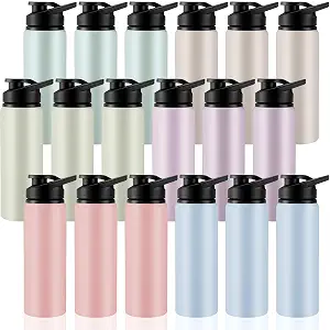 Domensi 18 Pack Aluminum Water Bottle Bulk Reusable Water Bottle, Lightweight Easy Carry Leakproof with Snap Lid Travel Bottles, for Gym Outdoor Sports Cycling Camping Fishing (25oz,Morandi Colors)