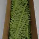 Fake Ferns - Set of 2 Faux Boston Ferns Large Artificial Plants, 40 Leaves per Bouquet, 35 Inches Large Artificial Ferns for Outdoors/Indoor Home, Office, Garden Decoration