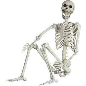 5.4Ft/165cm Halloween Skeleton, Life Size Skeleton with Posable Joints