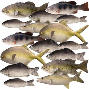 8 Pcs Realistic Fake Fish Toy 6 Types Lifelike Stuffed Artificial Fish Models for Photography Props Party Favor Display Kitchen Decor