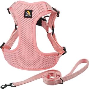 BELLA & PAL Adjustable Step-in Dog Harness, Puppy No-Pull Vest with Leash Set for XS/Small & Medium Dog, Breathable All-Weather Mesh, Reflective Strip, Secure Hook & Loop, Buckle Closure (XS (chest: 13-16"), Pink)