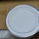 BESTVIP 700PCS Silver Plastic Dinnerware Set for 100 Guests, Disposable Plates for Party, Include: 200 Plastic Plates, 100 Pre Rolled Napkins with Silver Silverware, 100 Cups for Christmas, Halloween