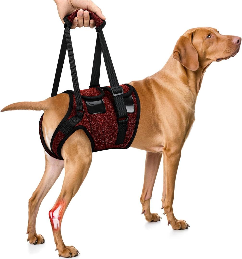 SlowTon Dog Lift Harness - Adjustable Dog Sling for Medium Large Dogs, Hind Leg Support to Help Rehabilitate, Soft Padded Dog Support Harness for Elderly, Injured, Arthritic, Disabled Dogs(R,M)