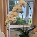 2 Pcs Orchid Stems 38" Artificial Flowers Real Touch Latex Faux Phalaenopsis Branches White Artificial Flowers for Wedding Party Home Garden Decor (White)