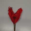 Generic Christmas Poinsettia Flowers Artificial Flowers Stems Picks for Christmas Tree Wreath Home Party Decorations (Red, 38cm)