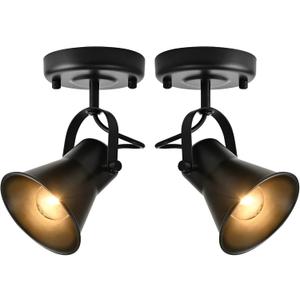 Track Light Modern Ceiling Spot Lighting Indoor, Adjustable Wall Mount Accent Light,for Bedroom Living Room Hallway Kitchen Painting(2 Pack)