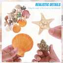 Natural Mixed Beach Seashells and Starfish Kit, Various Sizes Ocean Conch Shells for Beach Theme Party, Home Decor, Fish Tank Aquarium, Wedding Decor & DIY Crafts
