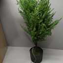 3FT Pre-Lit Artificial Norfolk Pine Christmas Tree  Realistic Potted Tree with 70 LED Lights & 8-Mode Battery Box, Pre-Assembled Faux Holiday Decor for Indoor Display (2)