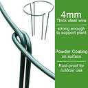 HiGift Plant Support Stakes, 6 Pack Metal Peony Cages and Supports, Garden Stakes Plant Support Cage, Large Plant Support Ring for Outdoor Indoor Snake Plant Peony Rose Flowers Vine (10" W x 15.8" H)
