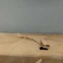 Ergonomic Office Chair - X-Shaped Computer Desk Chair Comfy, Gaming Chair, Office Chair with Lumbar Support, Mesh Office Chairs with Headrests, Desk Chair for Long Hours(White-Orange)