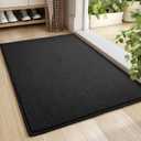 Color&Geometry Front Door Mat Indoor Entrance, 19.5"x35.5" Standard-Sized Inside Doormat for Entryway Non Slip, Dirt Trapper Absorbent Entry Rug Washable, Black (Rolled-up NO Creases) (1'6" x 2'6" (Rectangular))