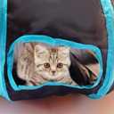 Cat Tunnel Tube ToysTunnels for Indoor Cats, S-Shape Blue Collapsible Interactive Toy with Balls for Rabbits, Kittens, Ferrets, Puppy (S - 2 Way Black Blue)