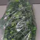 DearHouse Faux Eucalyptus Garland Plant, 2 Pack Artificial Vines Hanging Eucalyptus Leaves Greenery Garland for Wedding Backdrop Arch Wall Decor, 6 Feet/pcs UV Protected Indoor Outdoor