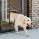 PetSafe Dog Door for Screen Door Size Large for Dogs and Cats up to 100 lb Use in Screen Doors Window Screens and Porch Screens