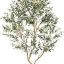 8ft Artificial Olive Tree  Large Faux Olive Plant Indoor with Pot, Lifelike Olive Trees Artificial Indoor, Tall Fake Olive Tree for Living Room Decor