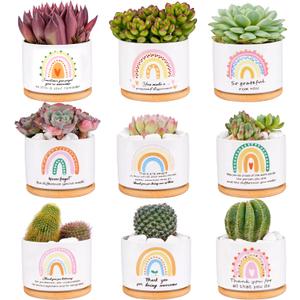 SAIWEILAI Ceramic Succulent Planter Pots Set of 9 with Bamboo Trays, Round Painted Plant Pots for Indoor Desktop Decoration, White