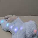 Hopearl LED Musical Stuffed Puppy Lighting Up Singing Plush Dog Adjustable Volume Lullaby Animated Soothe Birthday Festival for Kids Toddler Girls, Blue, 17''