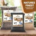 3 LB Black Oil Sunflower Seeds for Birds  Premium Wildlife & Bird Food  Grown in USA - Non-GMO - Black Oil Sunflower Seeds for Wild Birds and Backyard Feeders