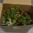 8 Inches Mistletoe Christmas Decor Ball Ornament Large Artificial Hanging Mistletoe Kissing Ball for Xmas Tree Door Decoration(Classic Style)