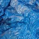 Blue Tarp