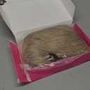 FAELBATY Blonde Wave Short Bob Wigs With Air Bangs Shoulder Length Wig For Women and Girls Curly Wavy Synthetic Cosplay Costume Wig (12" Mix blonde and gold)