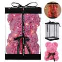 RECUTMS Rose Gifts for Her,10 inch Roses Flower Teddy Bear with Lights,Lighted Up Bears Gift for Christmas,Mothers Day,Galentines Day,Anniversary,Birthday Home Bedroom Pink Decor(A-Pink