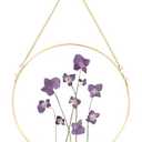 REDHUGO Handmade Glass Frame for Pressed Flowers, Wall Hanging Brass Floating Double Glass Round Picture for Dried Flowers Poster, Home Wall Decor, Circle, Gold (FRAME ONLY)