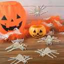 4Pcs Realistic Spider Skeleton,Horrible Spider Bone,Vivid Spider Skeleton Model Halloween Decorations for Yard Garden Lawn,Haunted House Props(Spider-4p)