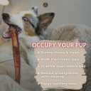 Bully Bunches Premium 12 Inch Standard Odor Free Bully Sticks for Small & Medium Dogs - Consistently Sized, Long Lasting Chews for Oral Care - All Natural Beef Dog Treats, (5 Pk)