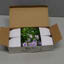 Der Rose 4 Pack Small Fake Plants Mini Artificial Faux Plants Indoor with Flowers Spring Decorations for Home Room Farmhouse Desk House Bathroom Decor