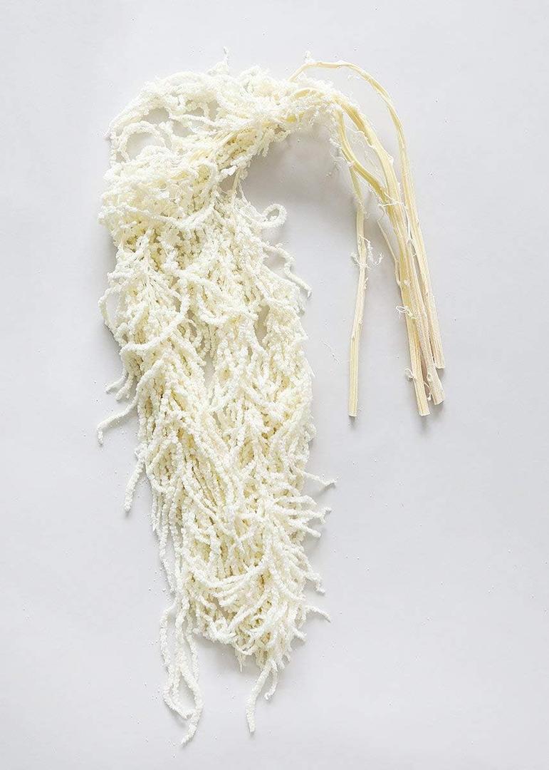 Generic Preserved Amaranthus Hanging Flowers, 32-40 inch, 4-6 Stems, Wedding, Event and Home Decor, White