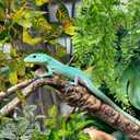 Hamiledyi 5 Pcs Reptile Plants Terrarium Hanging Fake Plant Leaves, Bearded Dragon Tank Accessories, Habitat Decor for Snake Leopard Gecko Lizard Chameleon Spider Turtle (Style 3)