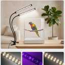 Bird Cage Light with UVA UVB, Full Spectrum Bird Lamp for Parrots