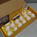 Dan&Darci Dig a Dozen Dino Egg Kit for Kids - Easter Basket Stuffers - Dinosaur Toys Gift 3-12 Year Old - 12 Eggs & Surprise Dinosaurs - Science STEM Activities - Boy Toy Party Gifts for Boys & Girls