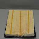 Motorcraft Air Filter