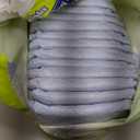 Hartz Disposable Dog Diapers, Size M 32 count, Comfortable & Secure Fit, Easy to Put On